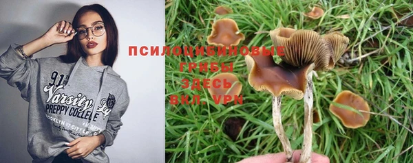 мет Бородино