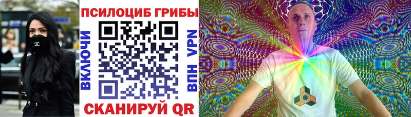 что такое Коммунар Галлюциногенные грибы Cubensis